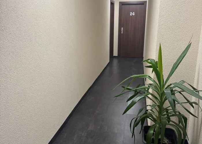 Capitol Zentrum - 24h -